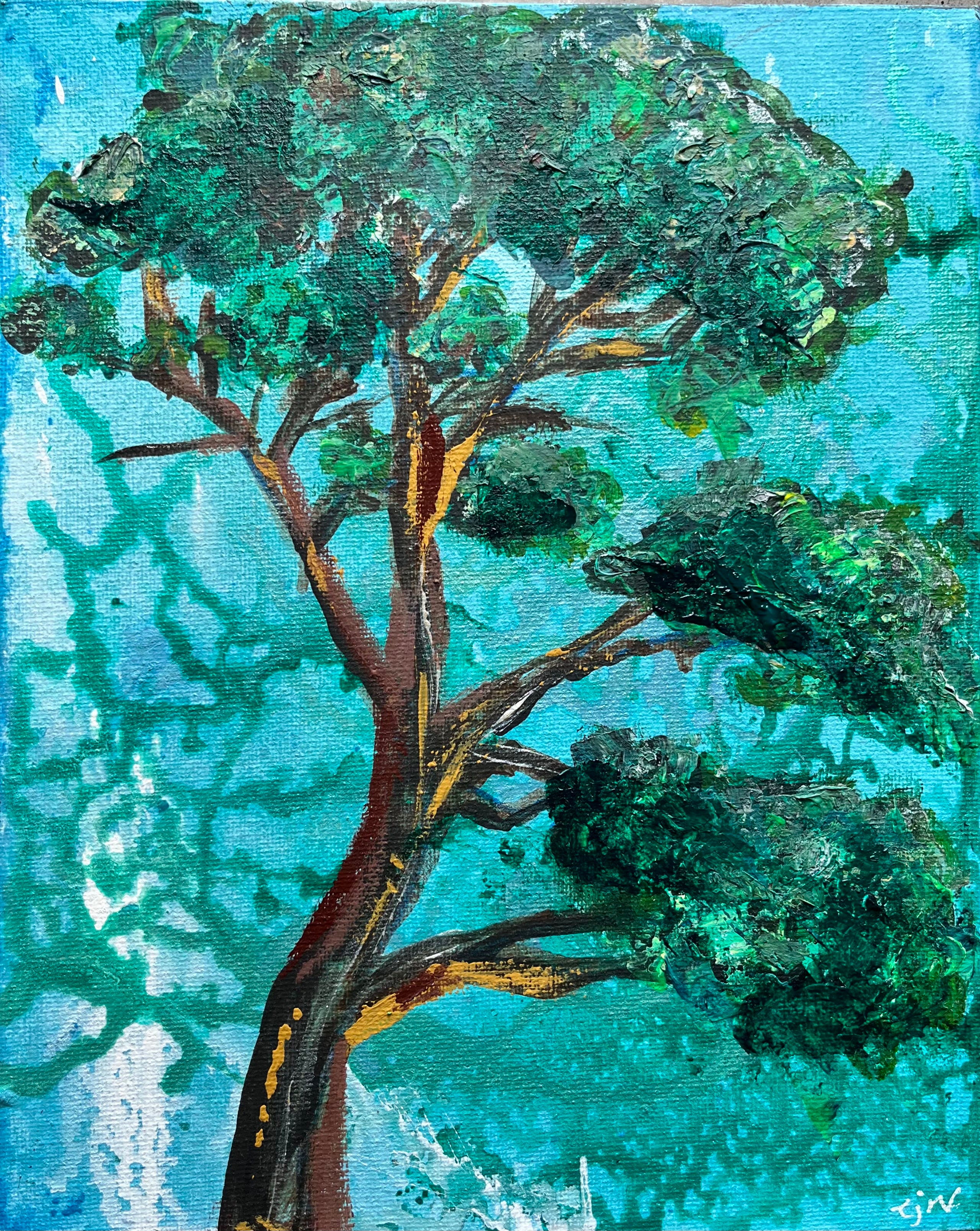 California pine