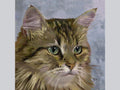 Miniature "Portrait of an ordinary cat"