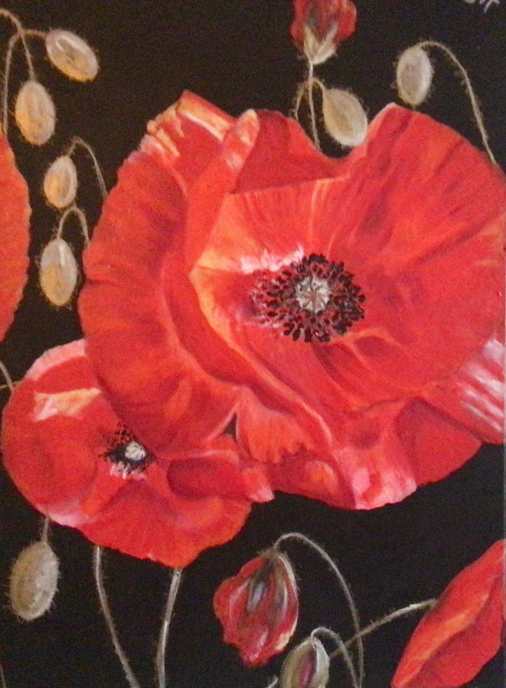 Fiery Poppies 2
