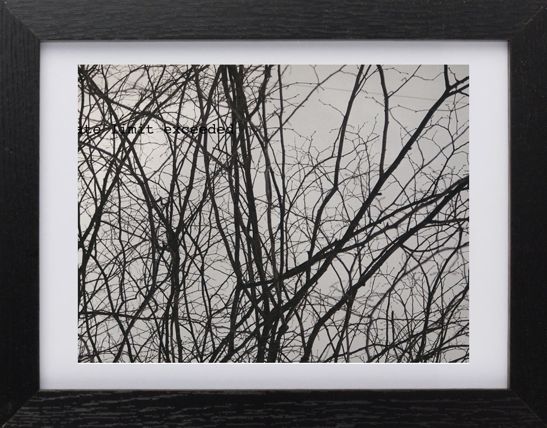 Branches