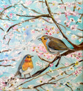 Cherry tree  in bloom, Robins red breasted