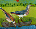 Phavier doré de S. Domingue et  Pharer à coller de S. Domingue