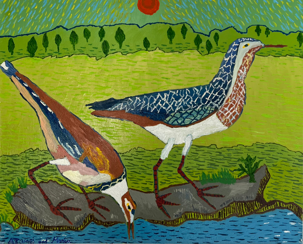 Phavier doré de S. Domingue et  Pharer à coller de S. Domingue
