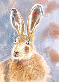A FINE HEAD OF HARE