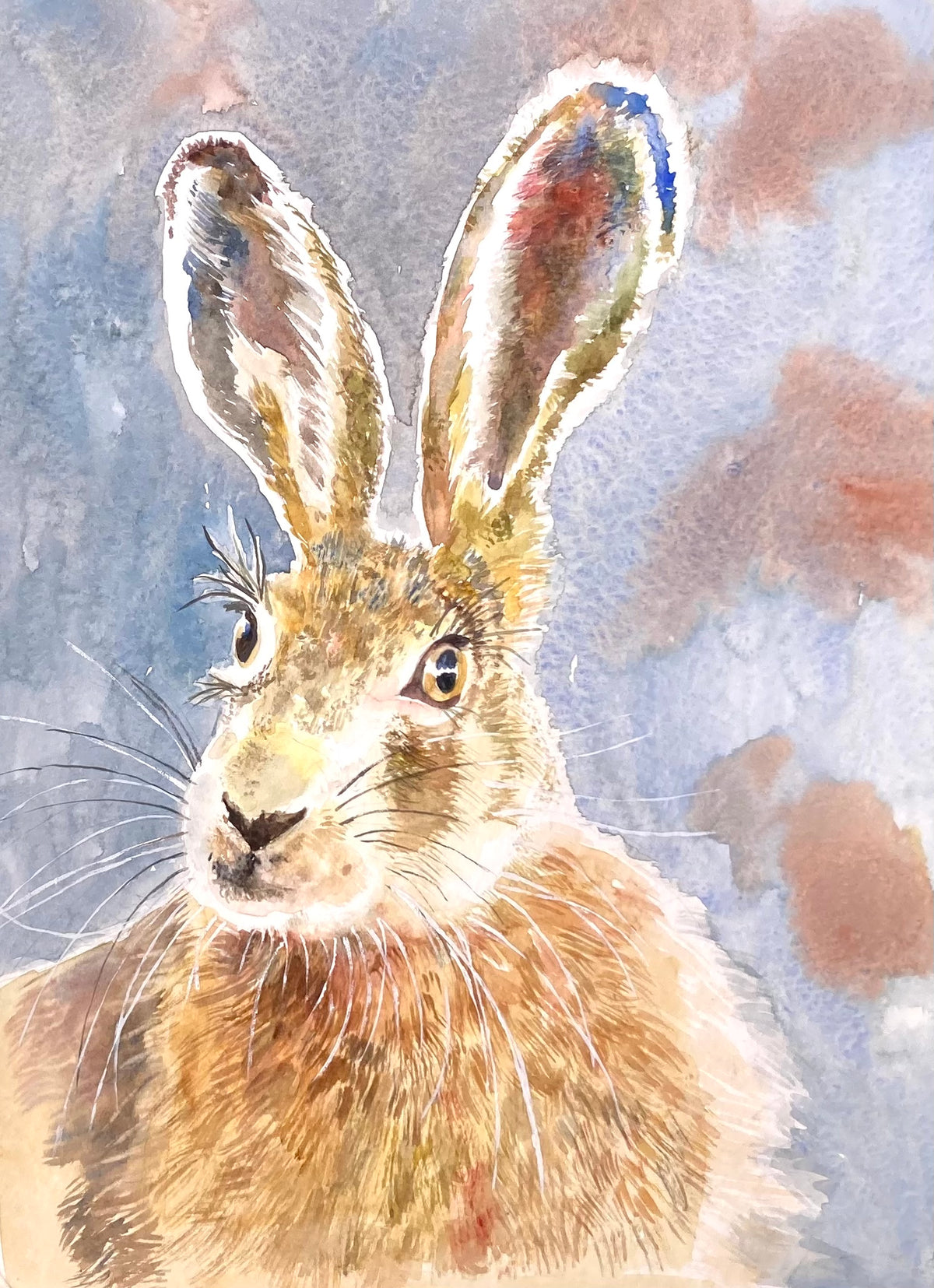 A FINE HEAD OF HARE