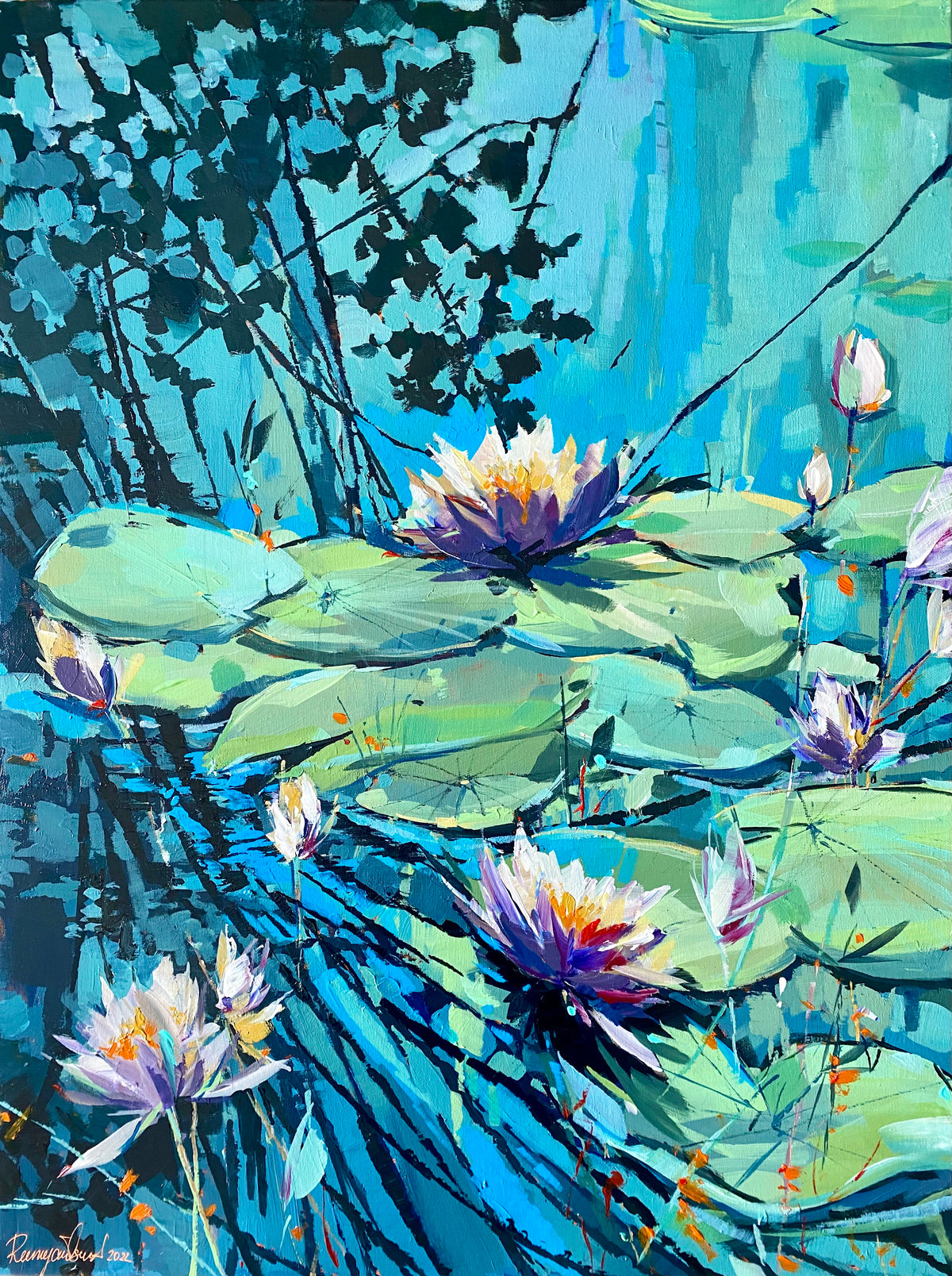 Flowering Water Lilies 2