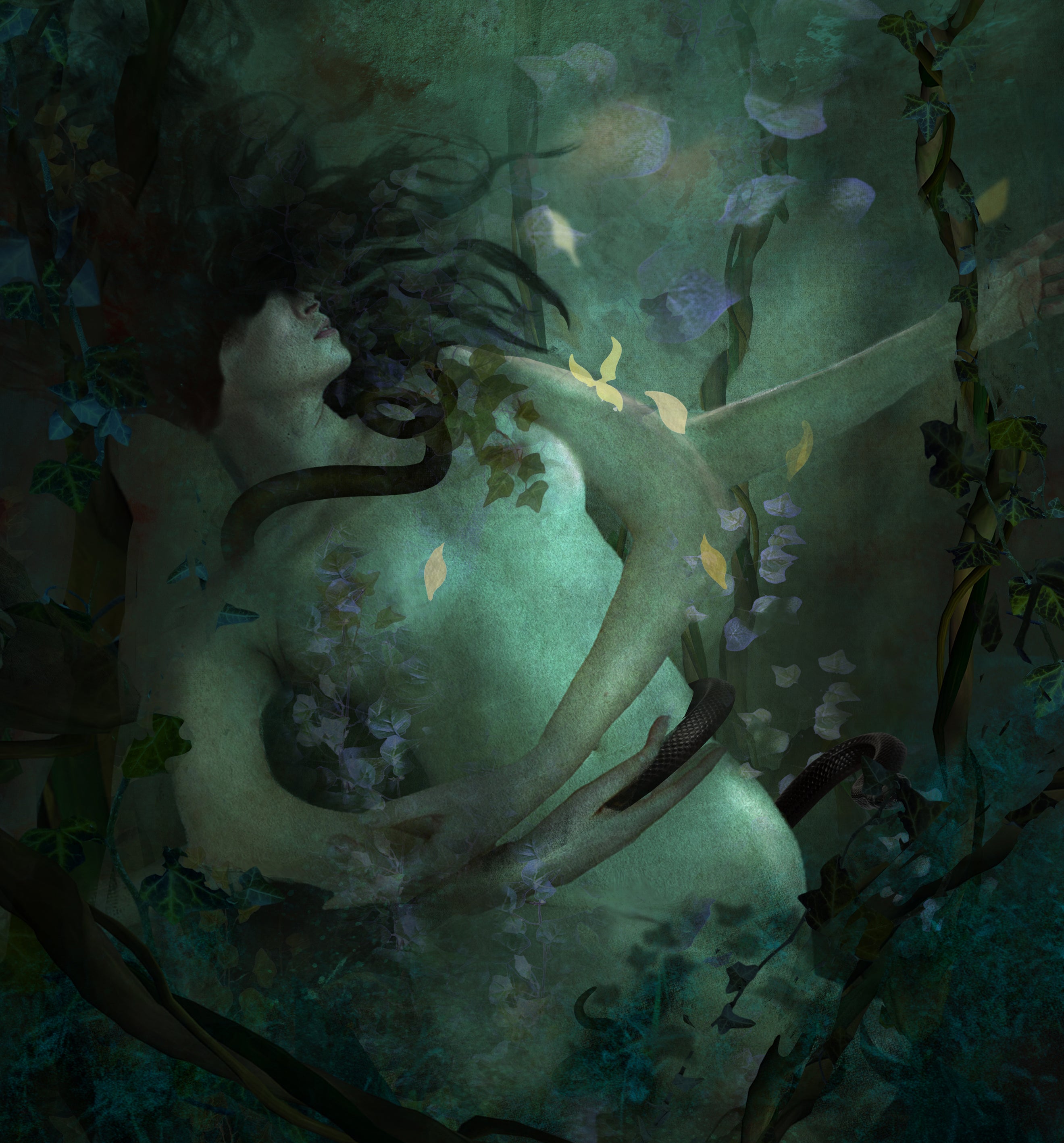 "A Midsummer Night's Dream"