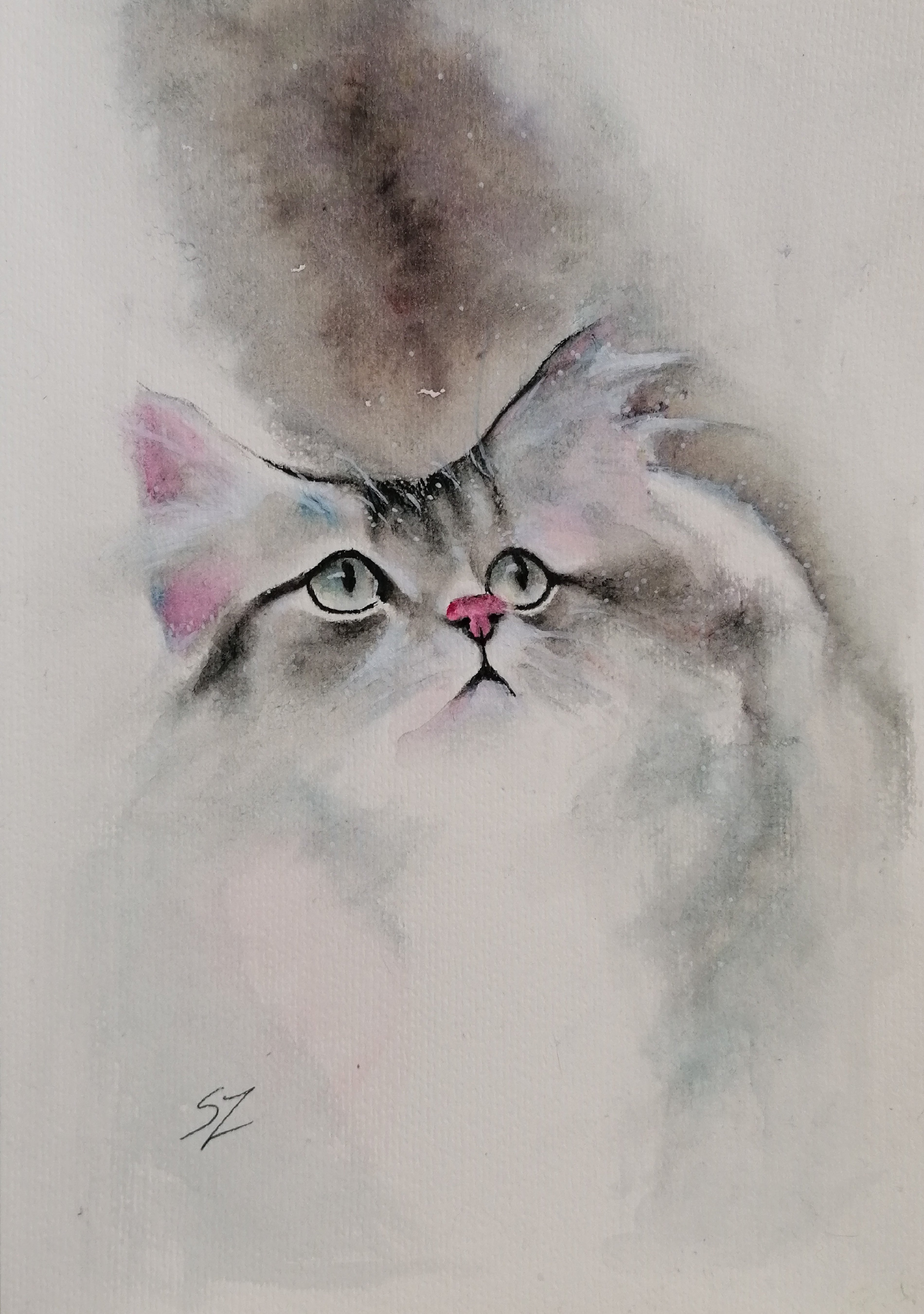 Cat in Winter