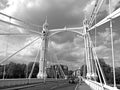 Albert Bridge, London 2