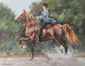 Saddlebred Horse