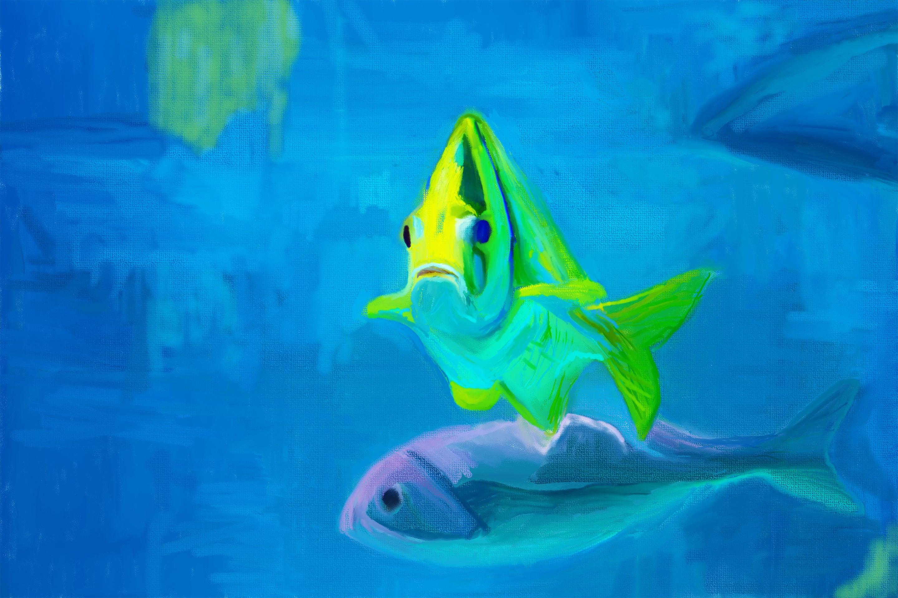 Aquarium Fish Head On