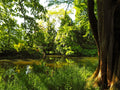 Arboretum de la Vallée-aux-Loups 3