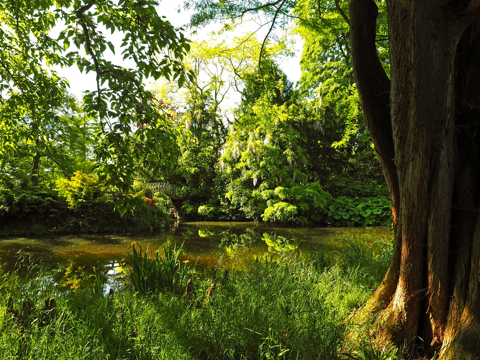 Arboretum de la Vallée-aux-Loups 3