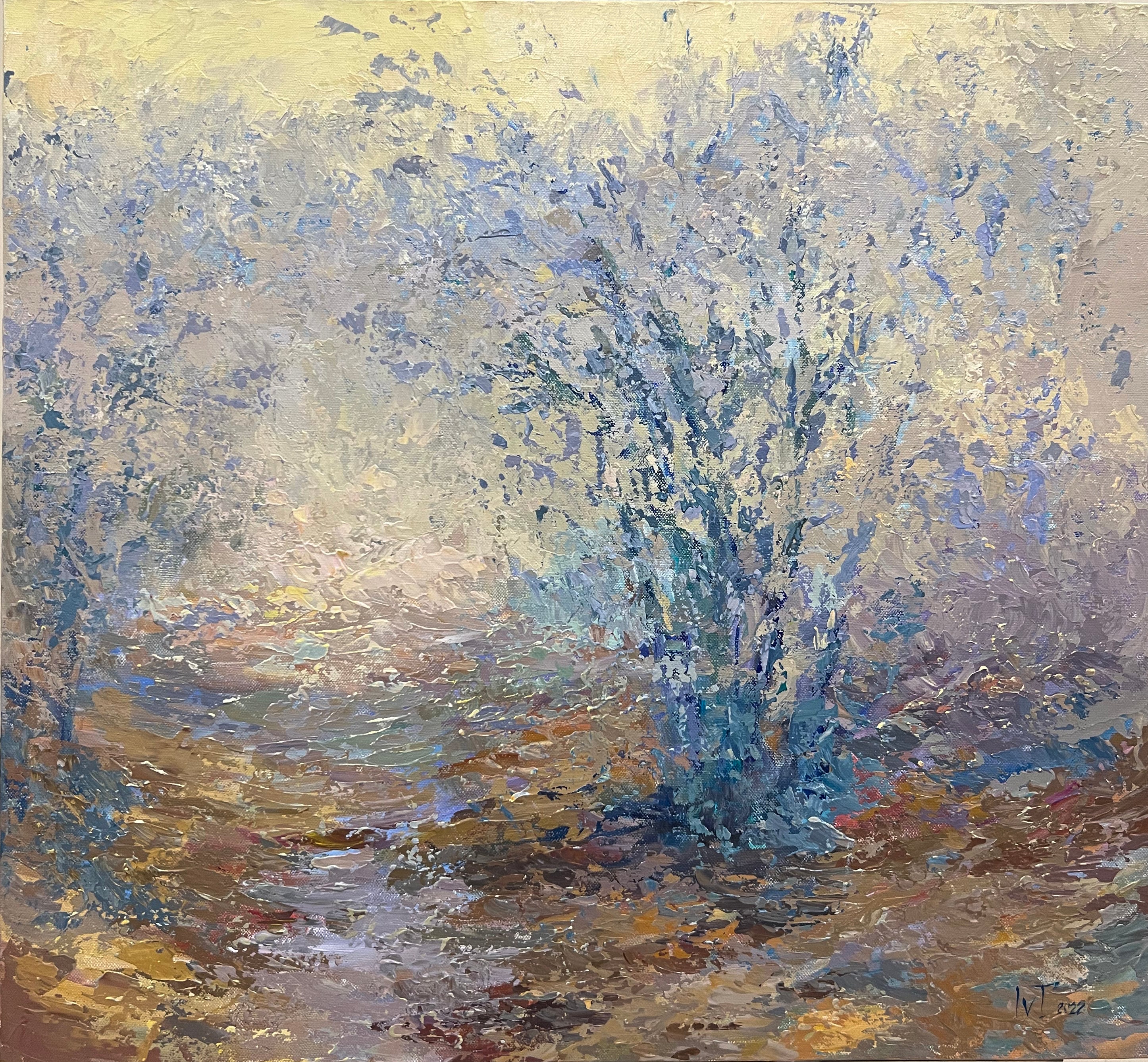 Fog