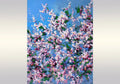 Spring Flowering