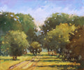 Near Ashurst, New Forest