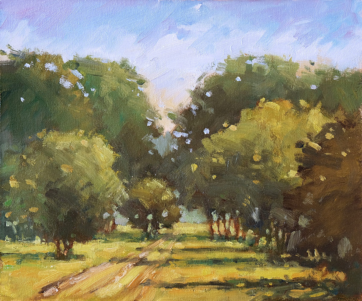 Near Ashurst, New Forest