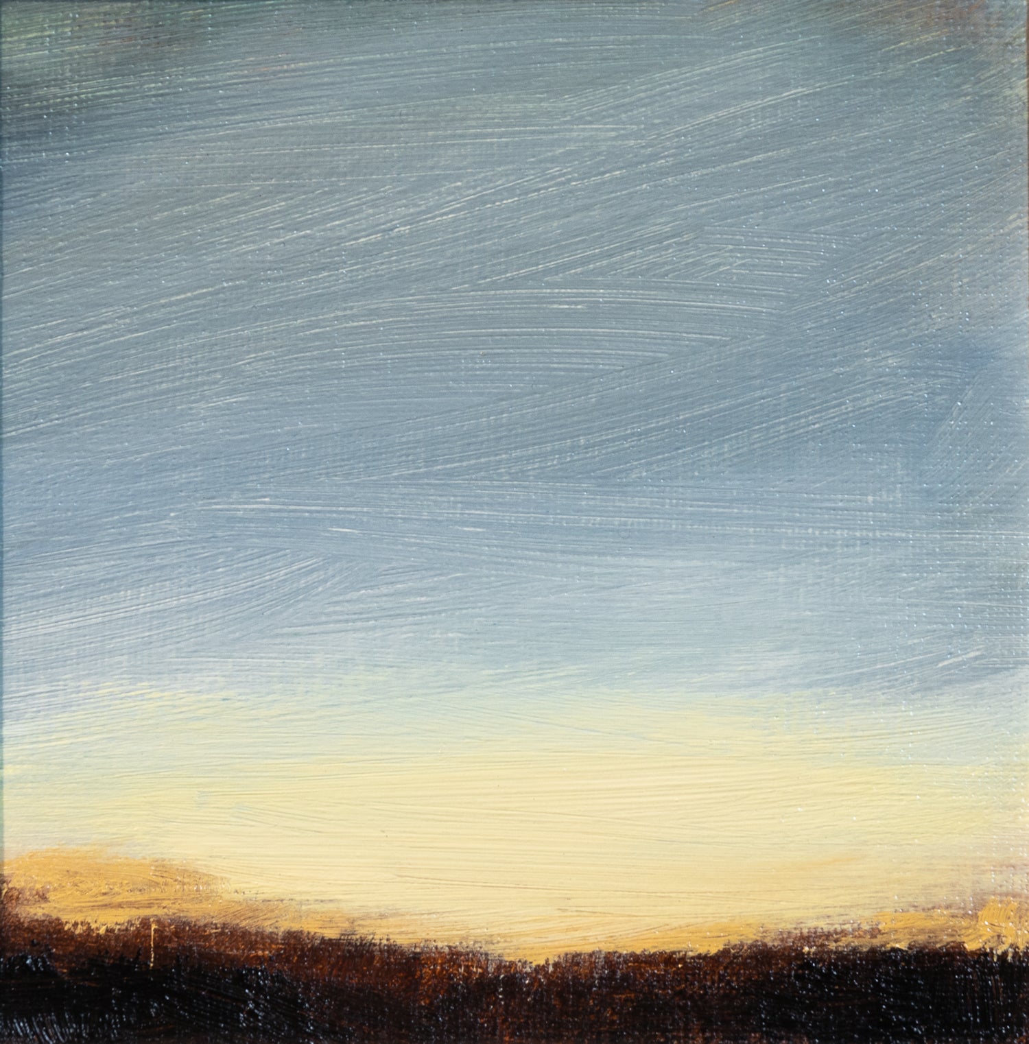 Dawn On Landscape