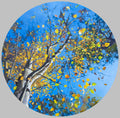 Autumn all around a Silver Birch