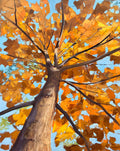 Autumn Embers