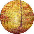 Autumn Moments