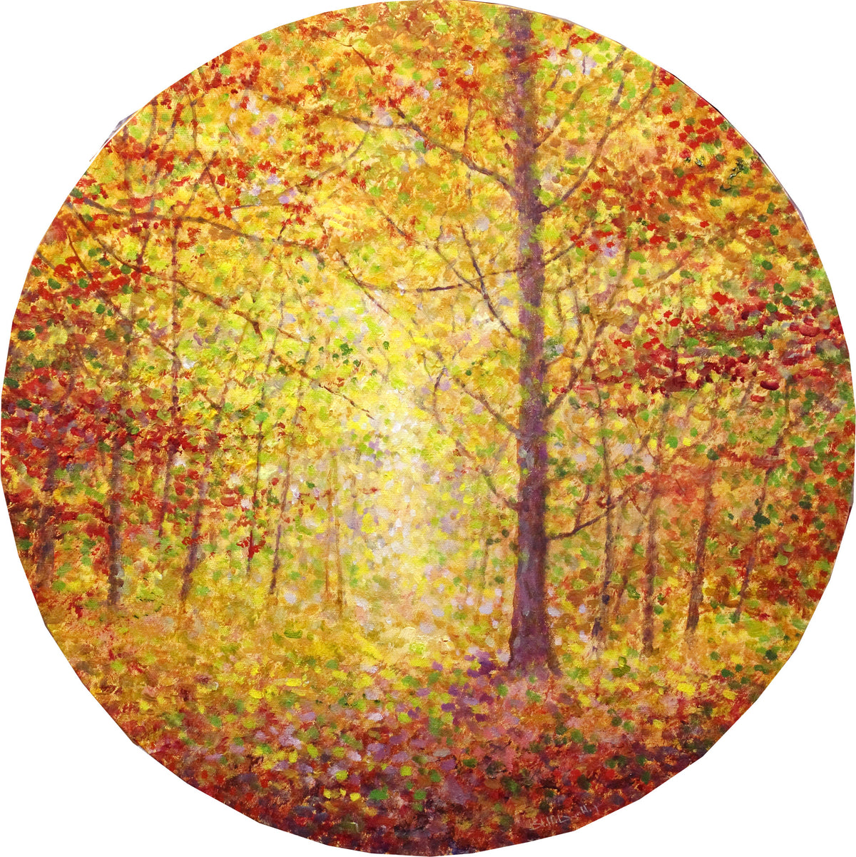 Autumn Moments
