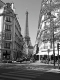 Avenue Rapp - A3