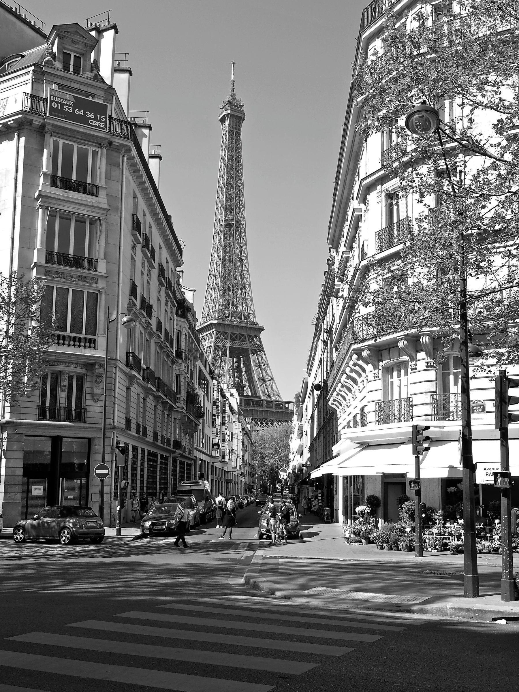 Avenue Rapp