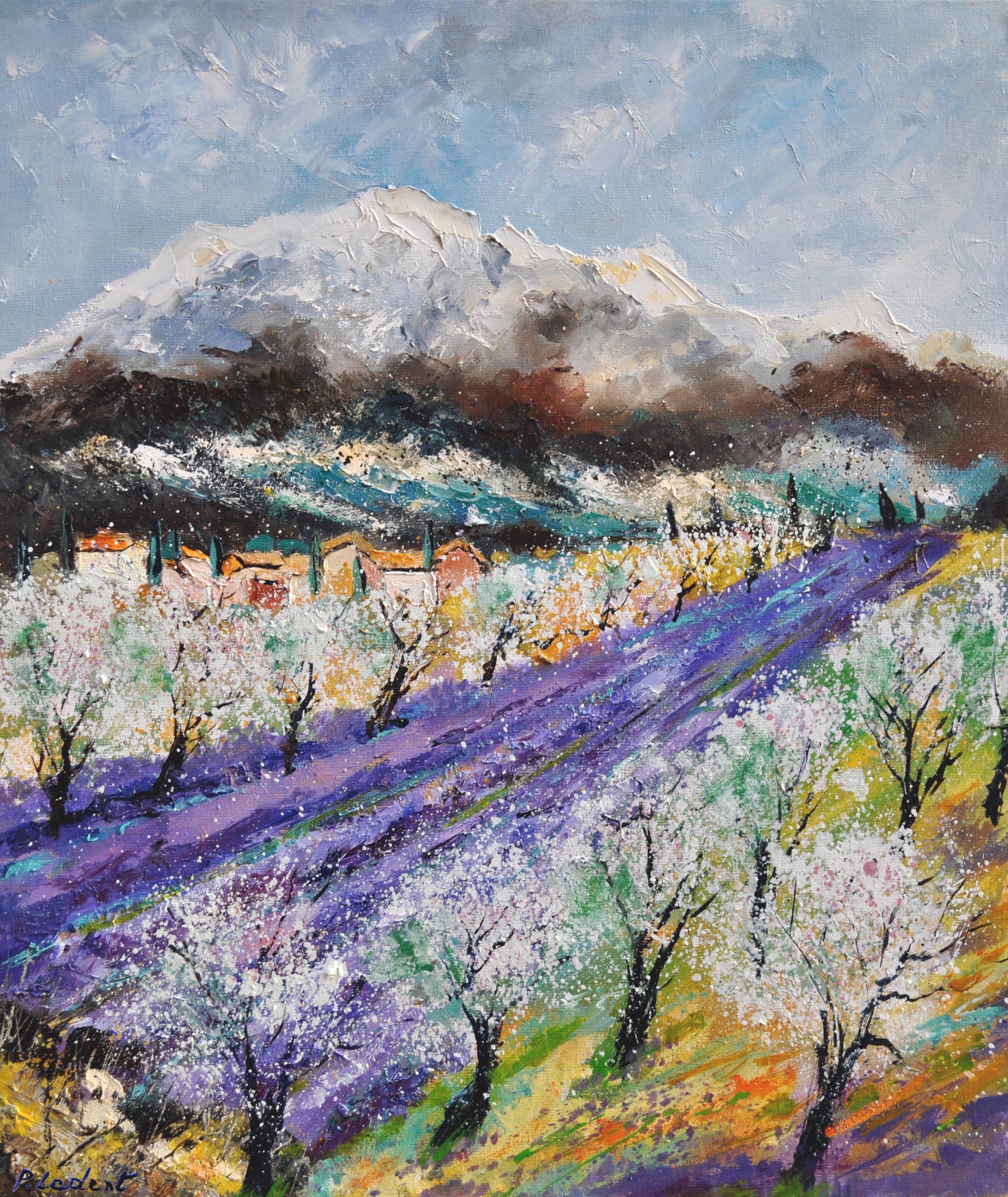 Blooming almond trees in Provence