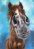 Rupert the Horse - Limited Edition Canvas Print