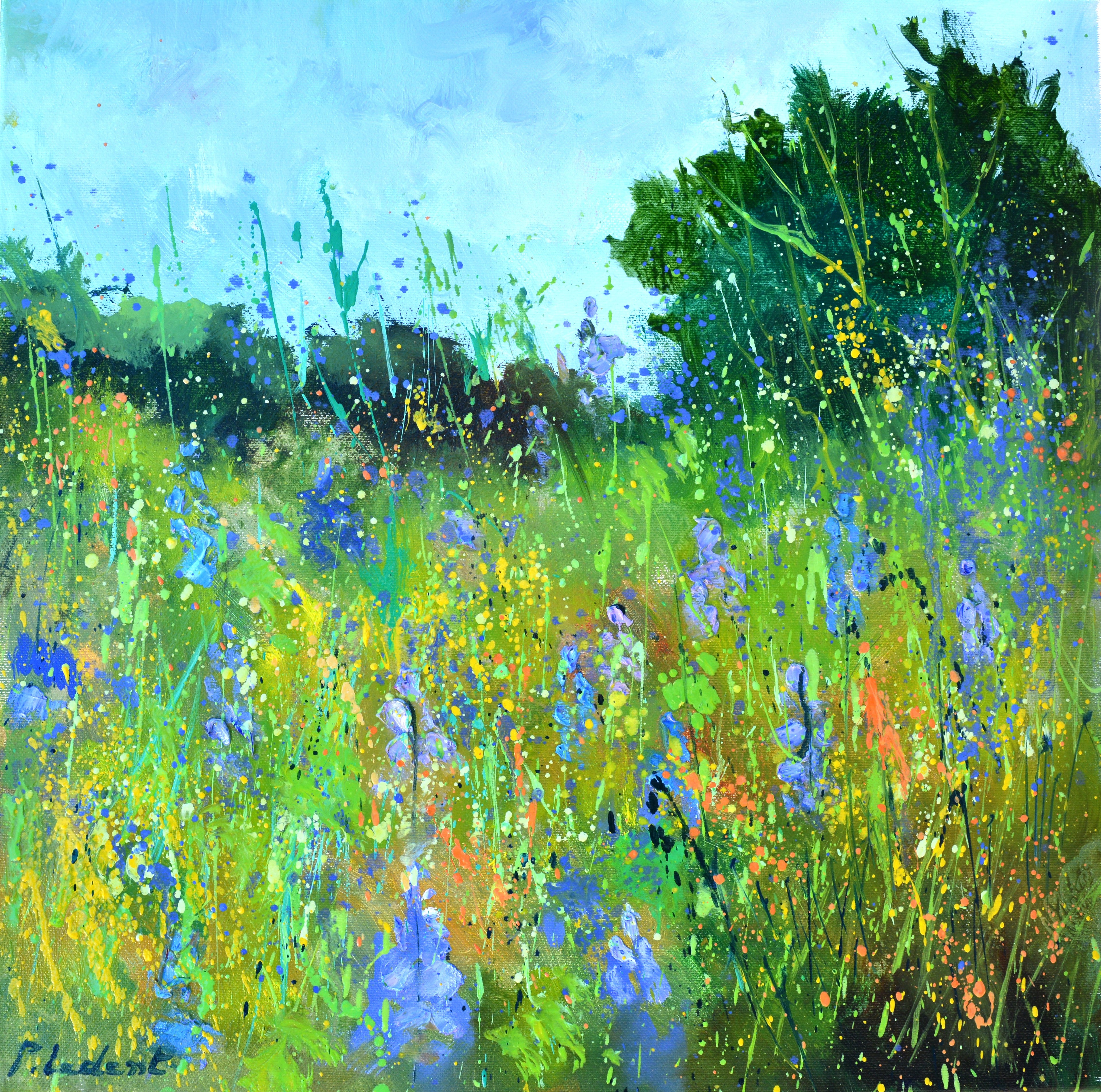 Wild flowers in summer 4525