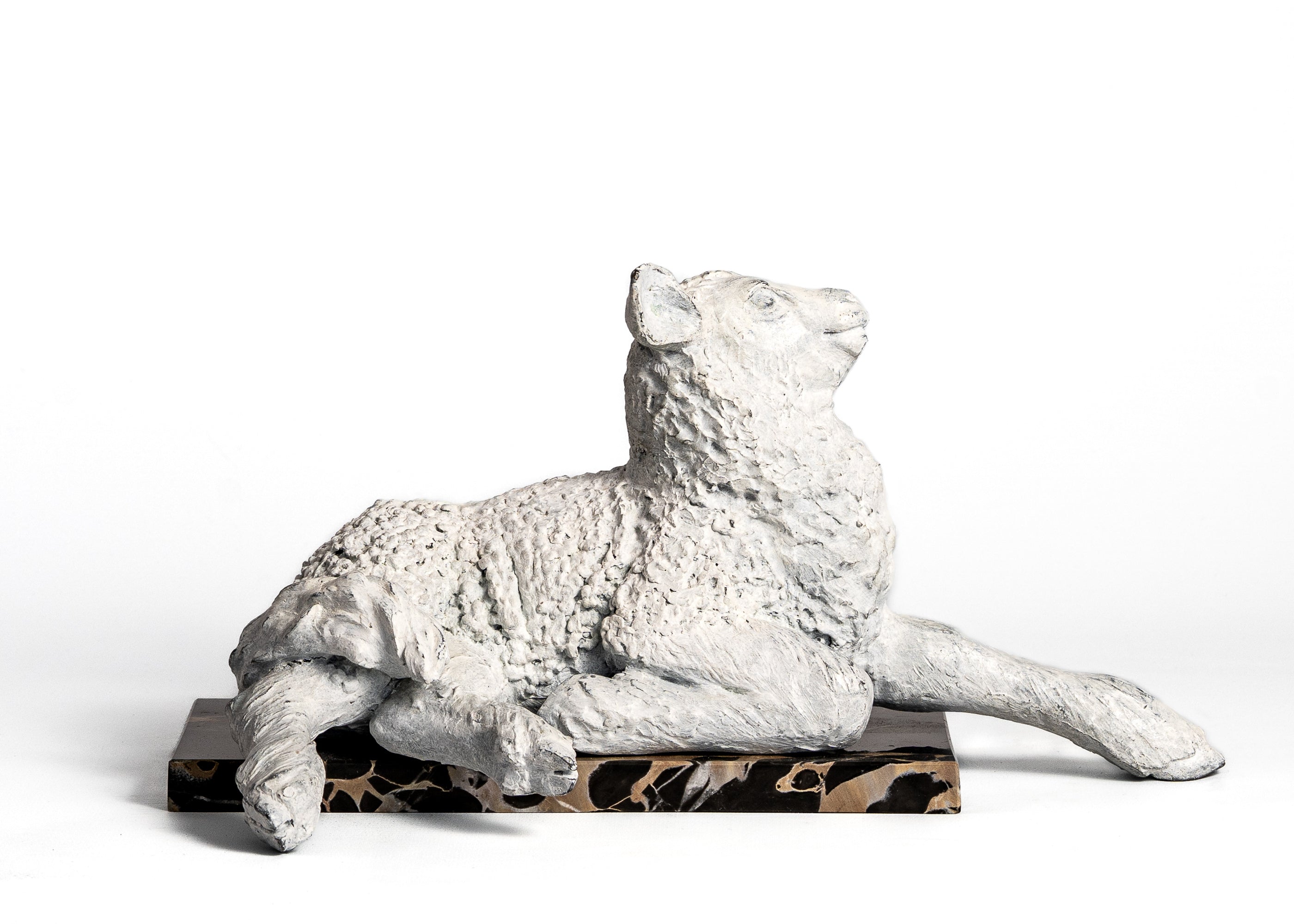 Lamb