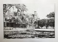 Bateman's Lily Pond