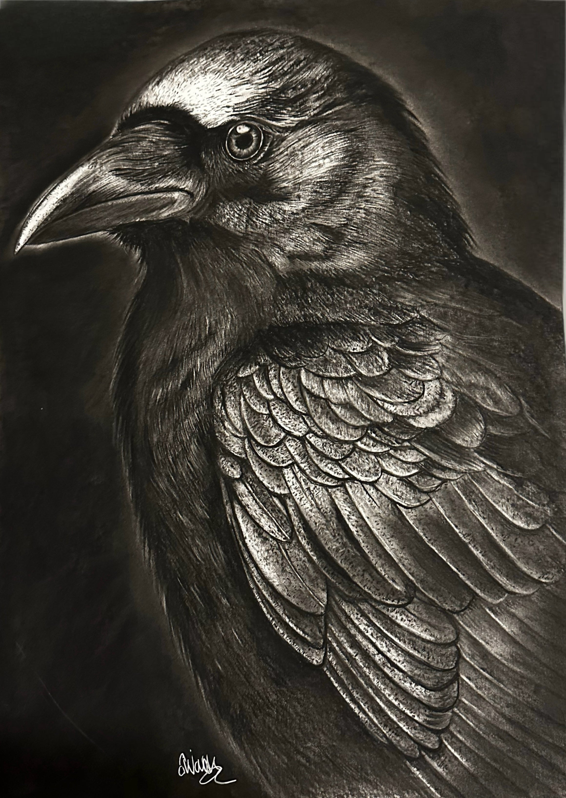 Raven Raven