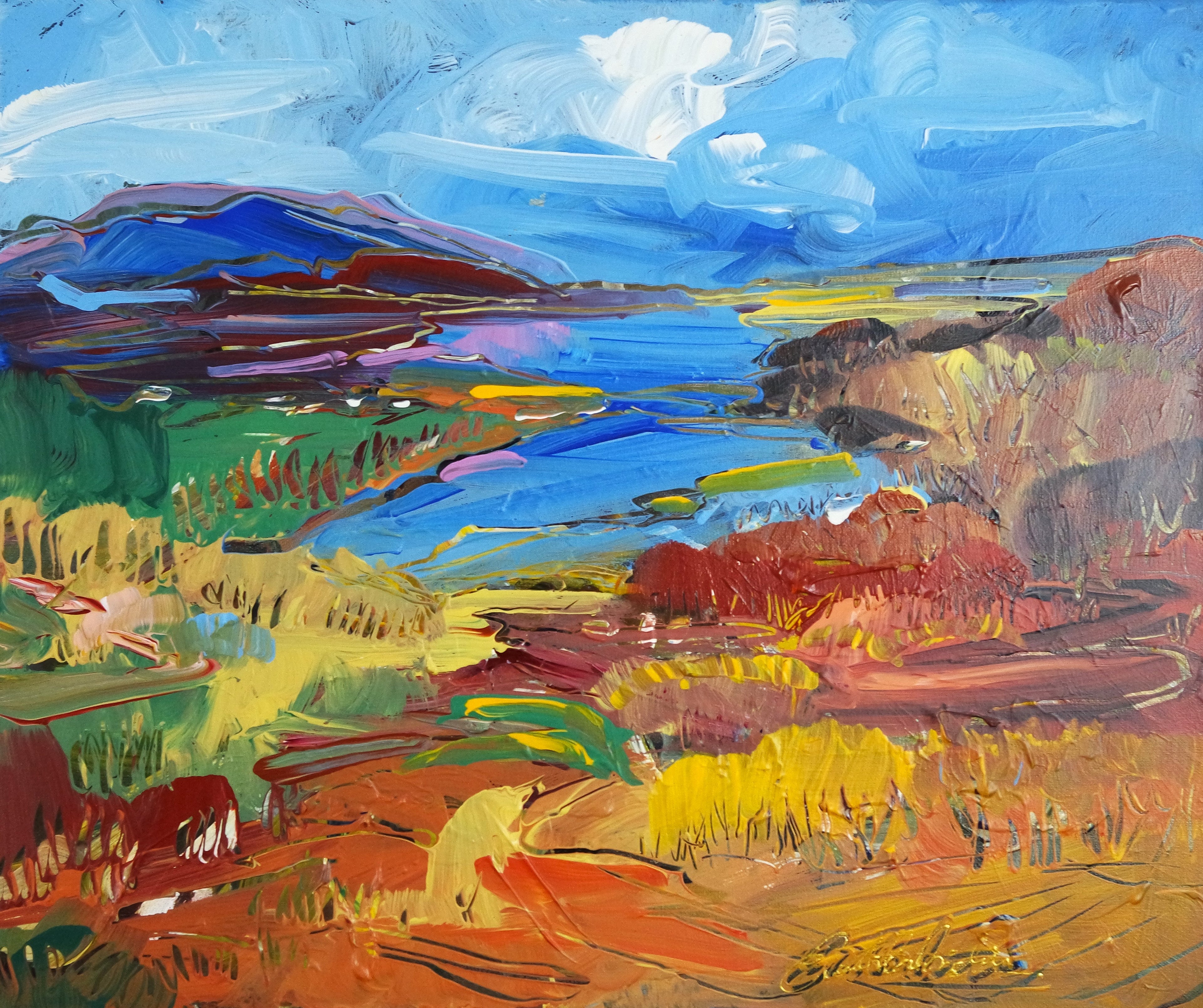 Beautiful colourful landscape 082
