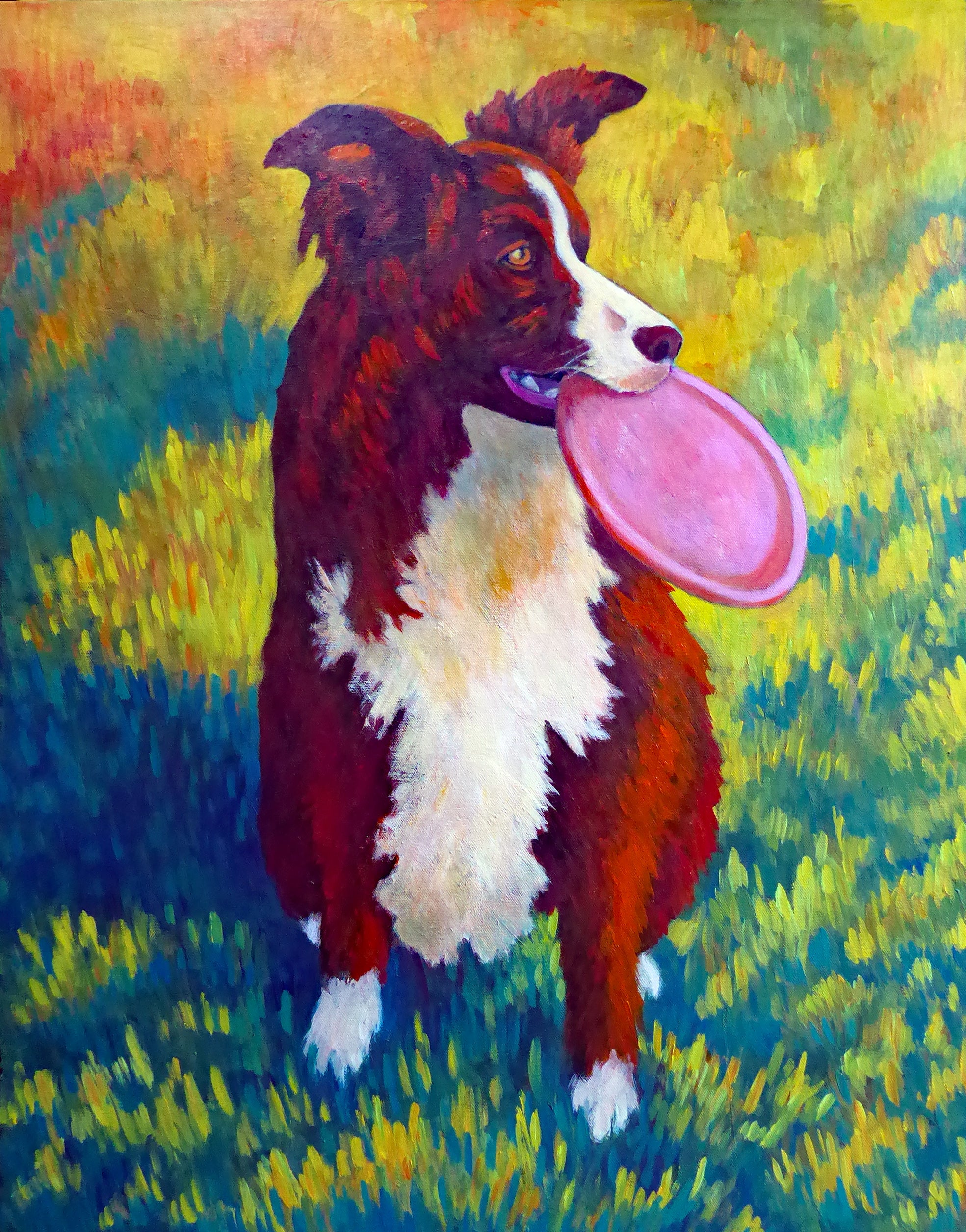 COLLIE WITH FRISBEE AT SUNSET