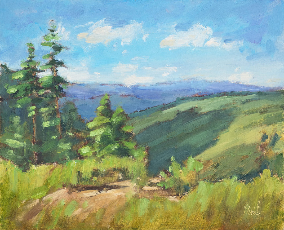 View from the Mountain Ridge