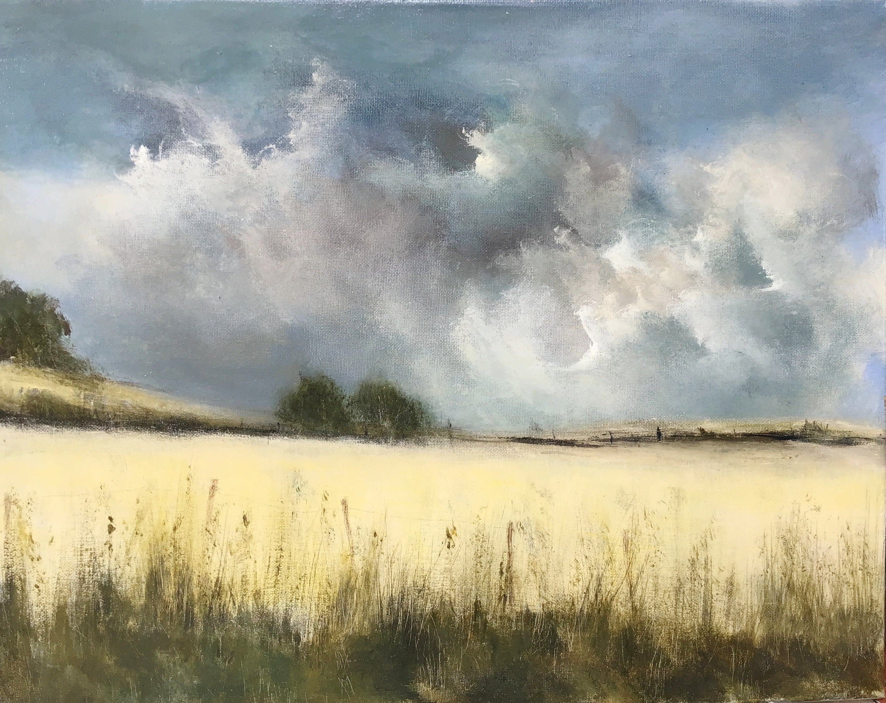 Irish Meadow
