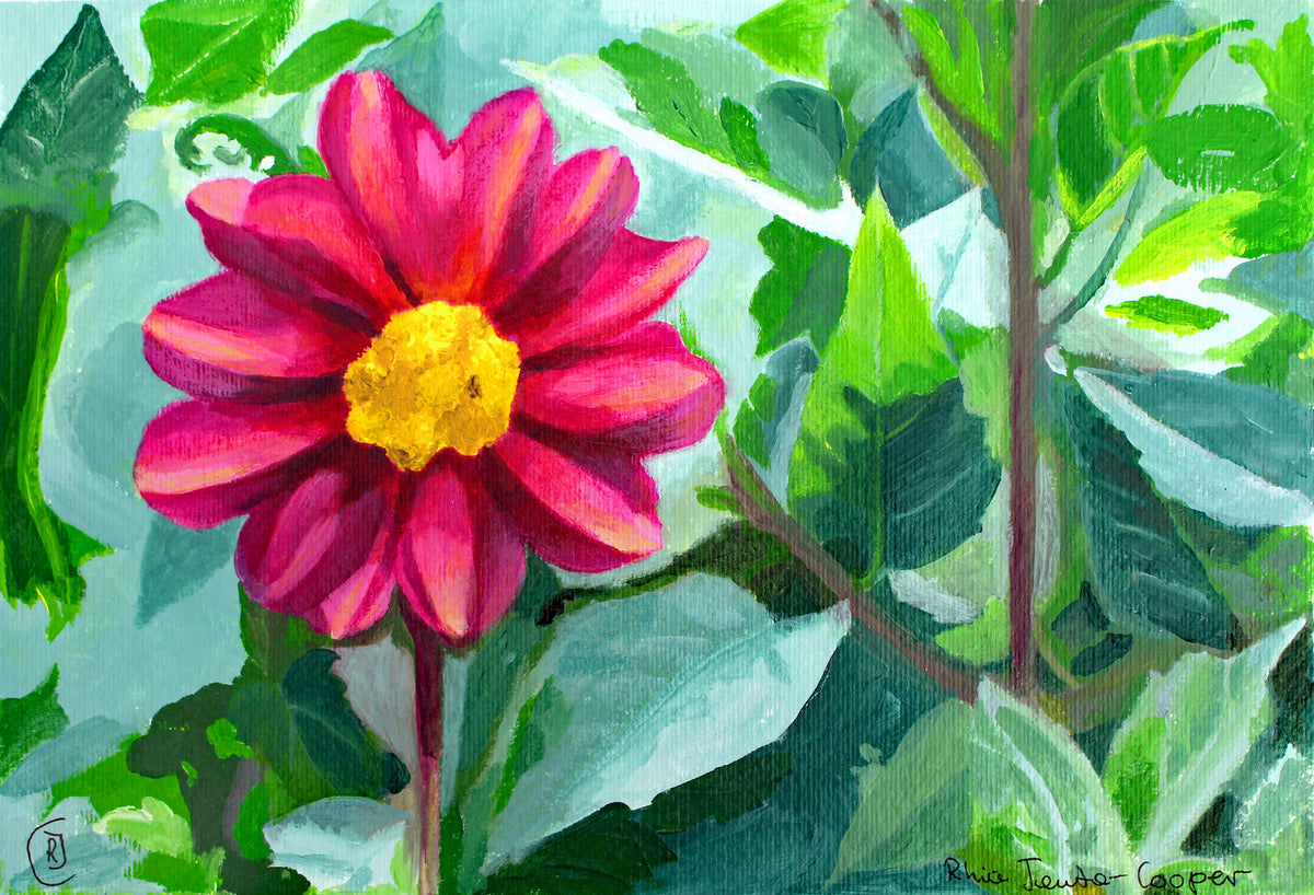 Beauty From My Garden, a portrait of a magenta flower