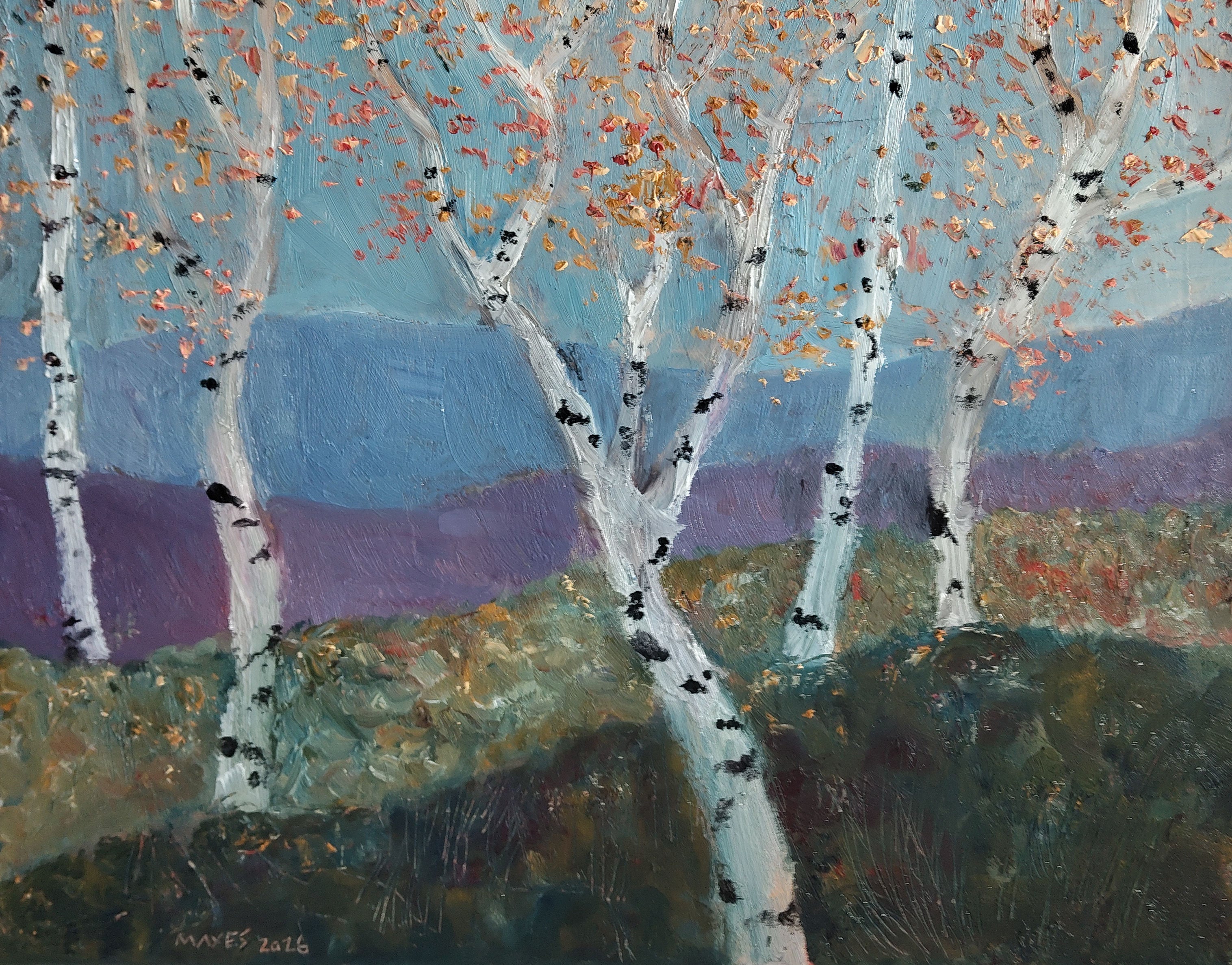 Birch Tree Layers