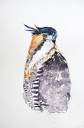 BIRDS OF PREY A3-10