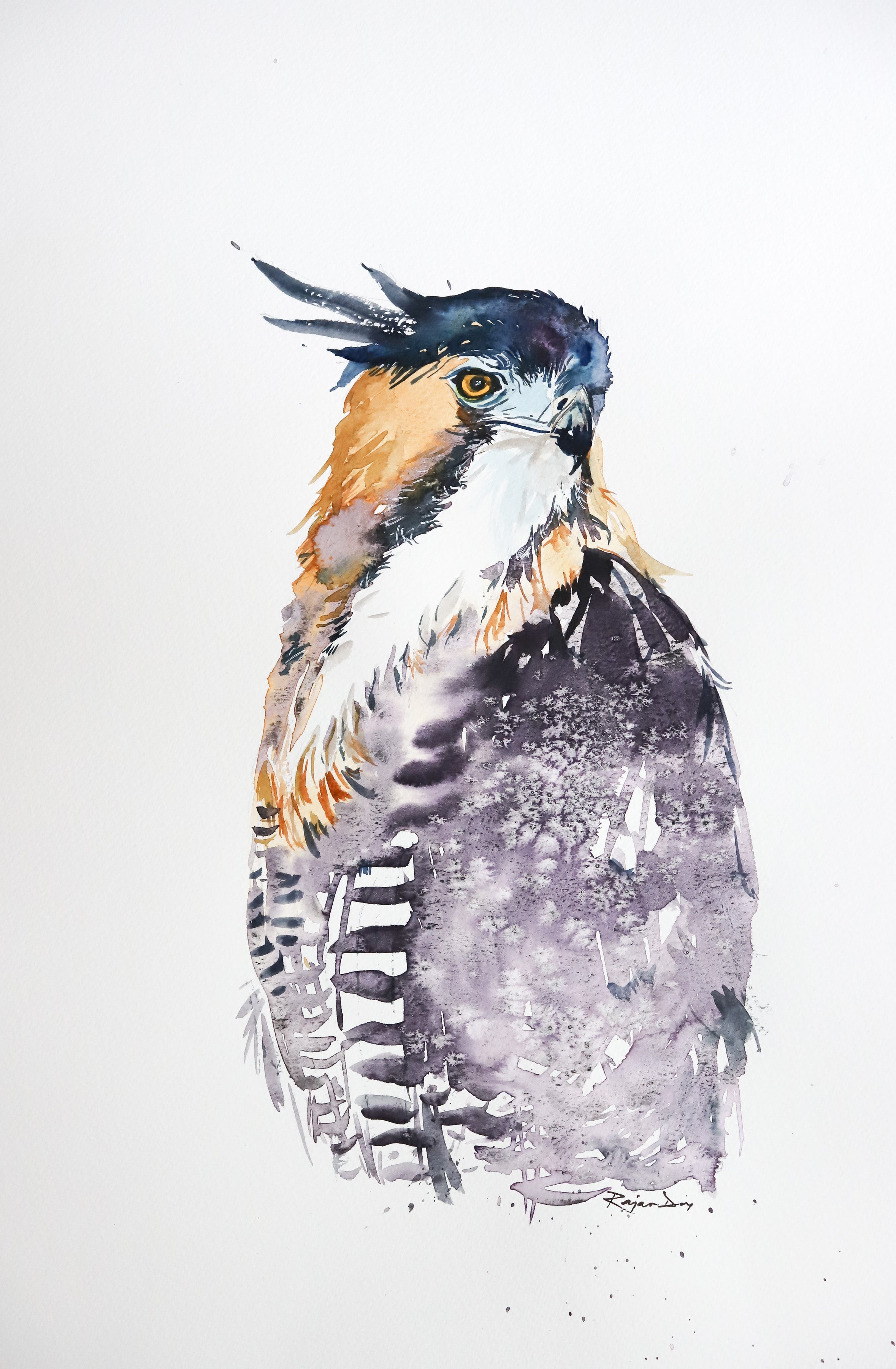 BIRDS OF PREY A3-10