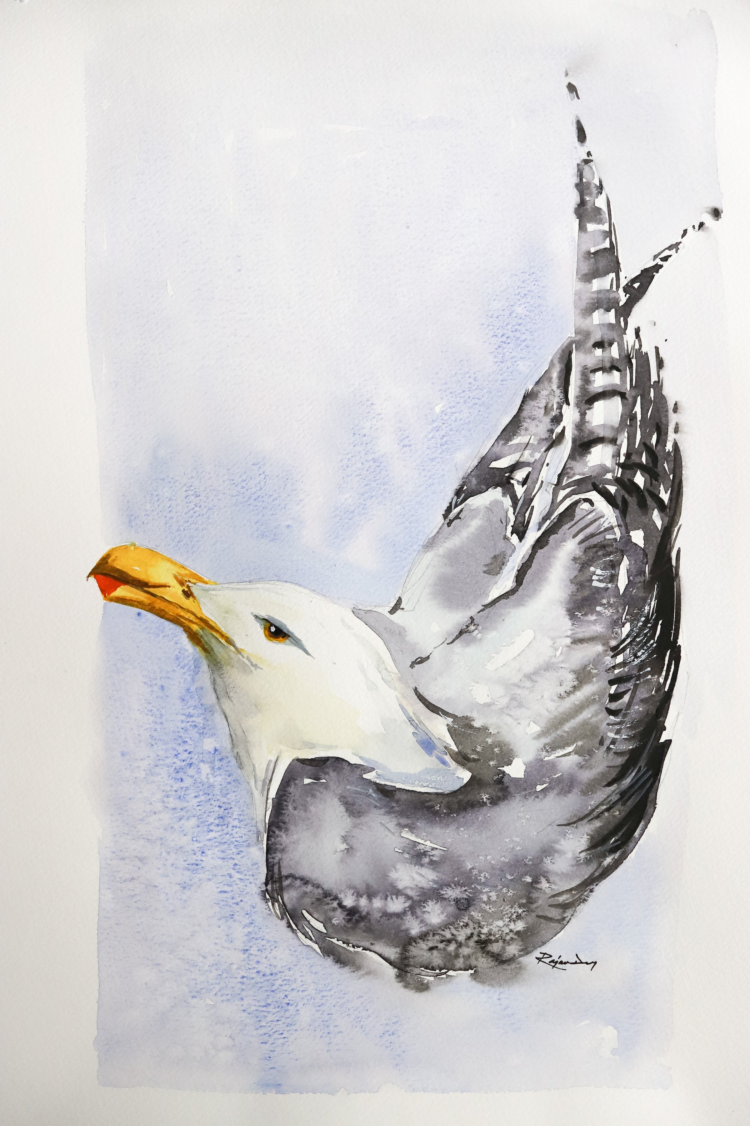 BIRDS OF SEA A3-2