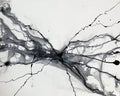 Black and white magnetism abstract large