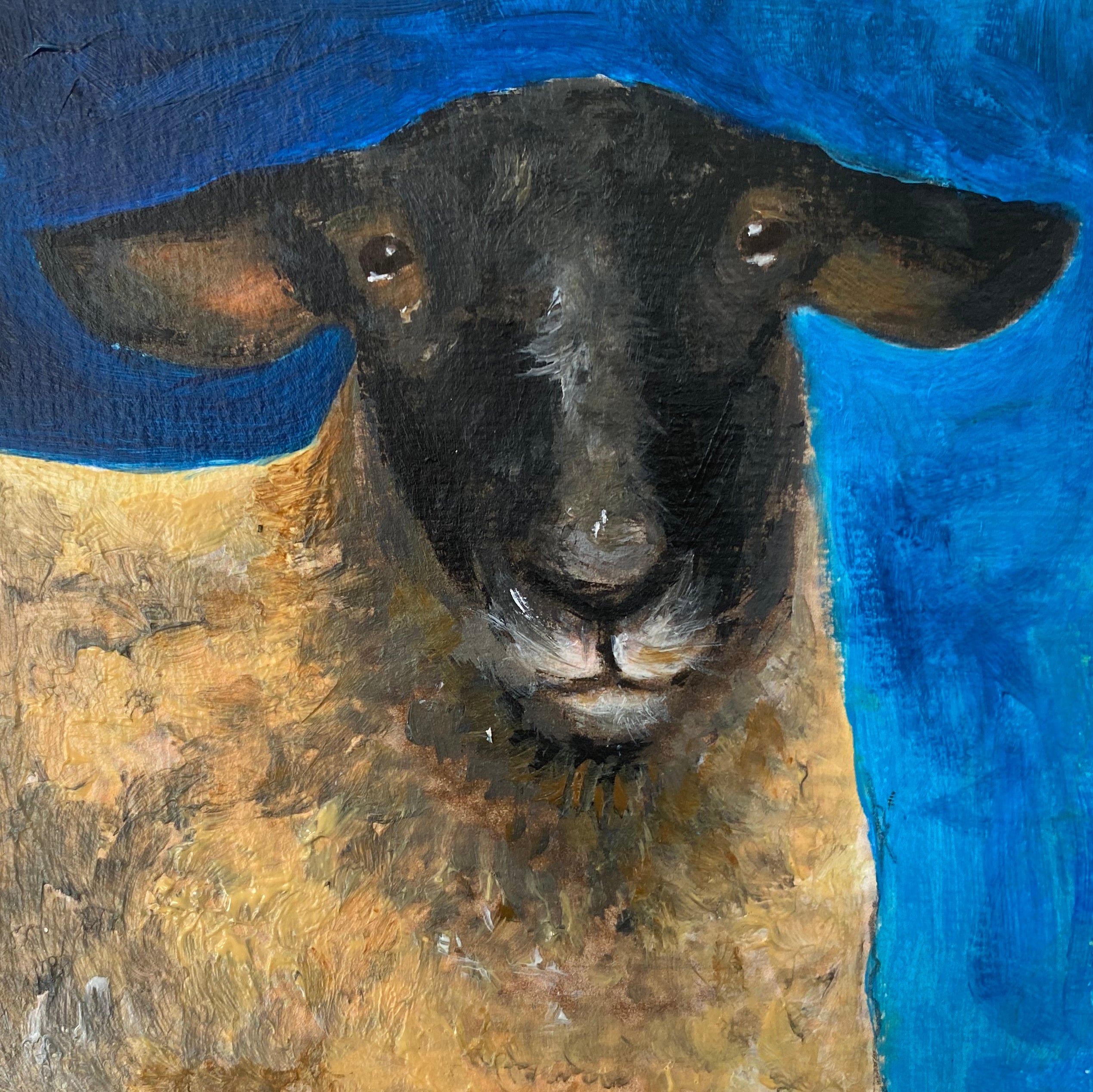 Three sheep framed