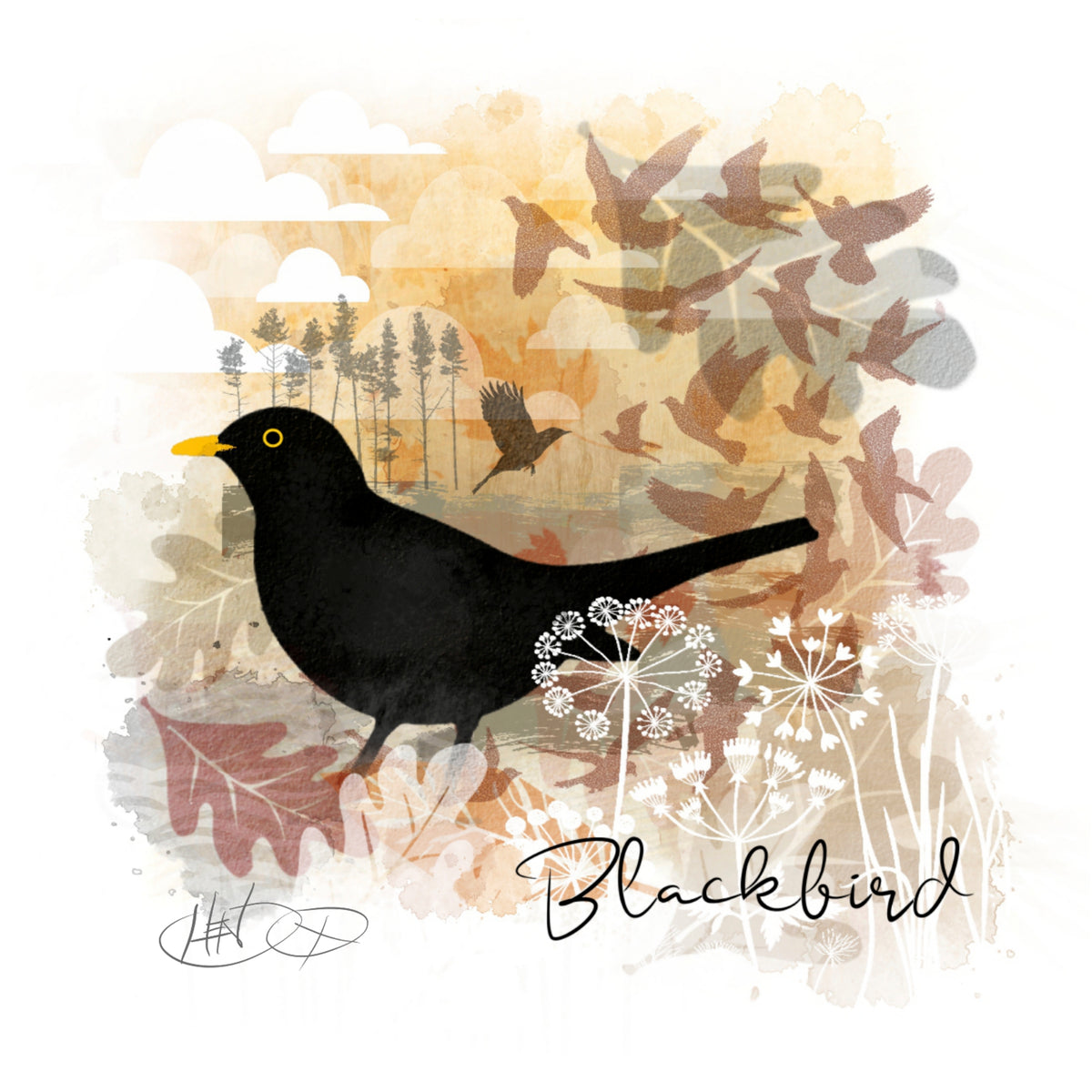 Blackbird (numbered and signed)