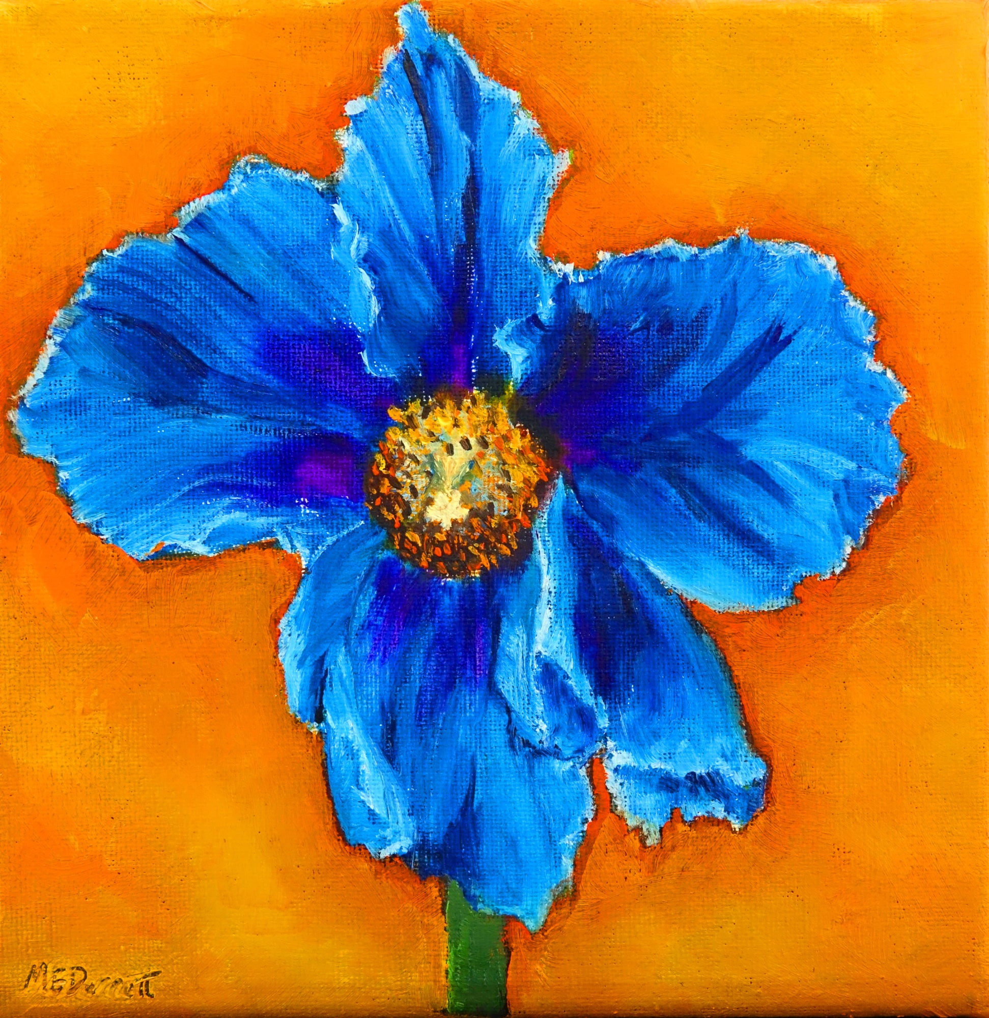 Blue Poppy