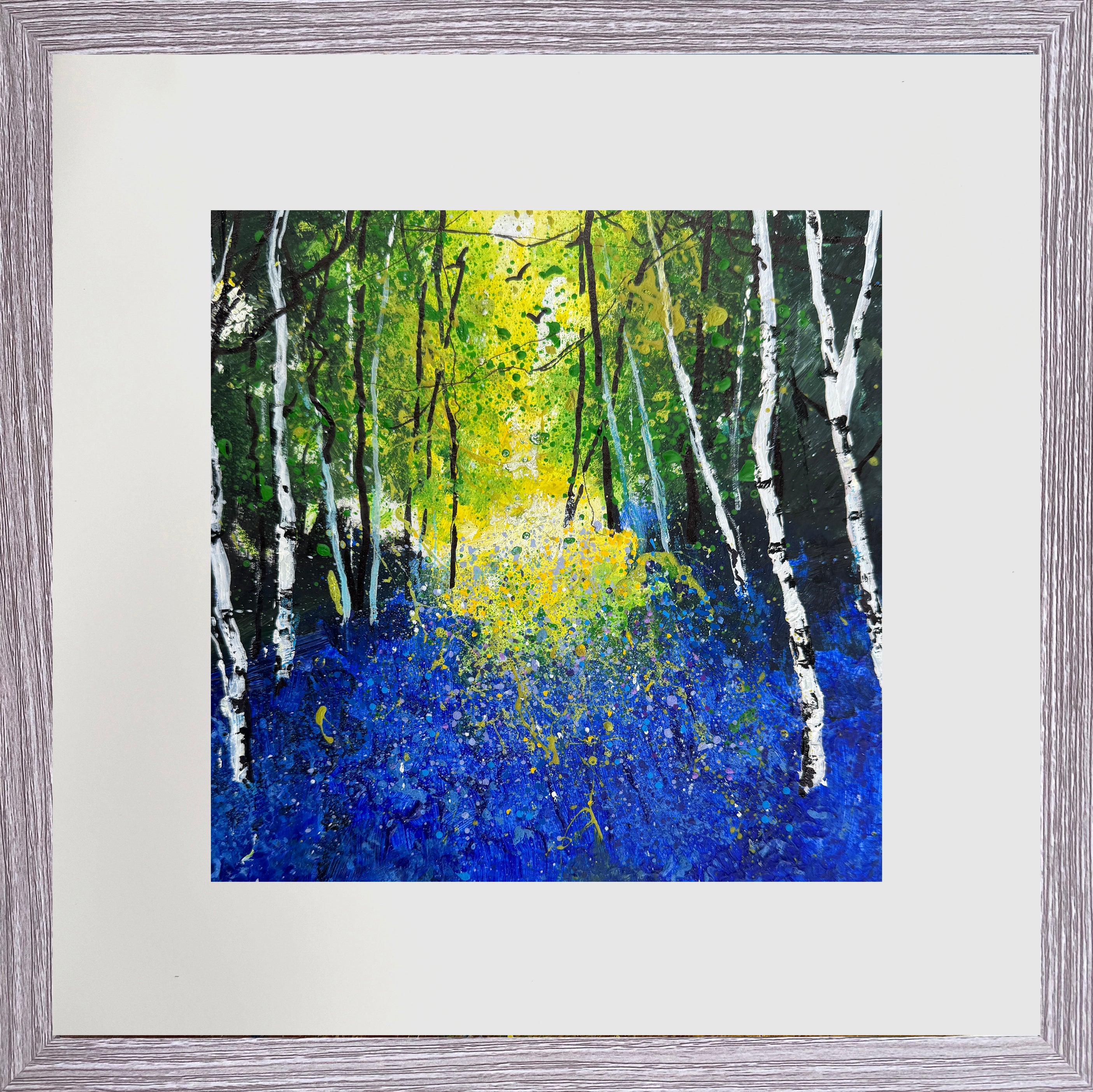 Bluebell Woods & birches