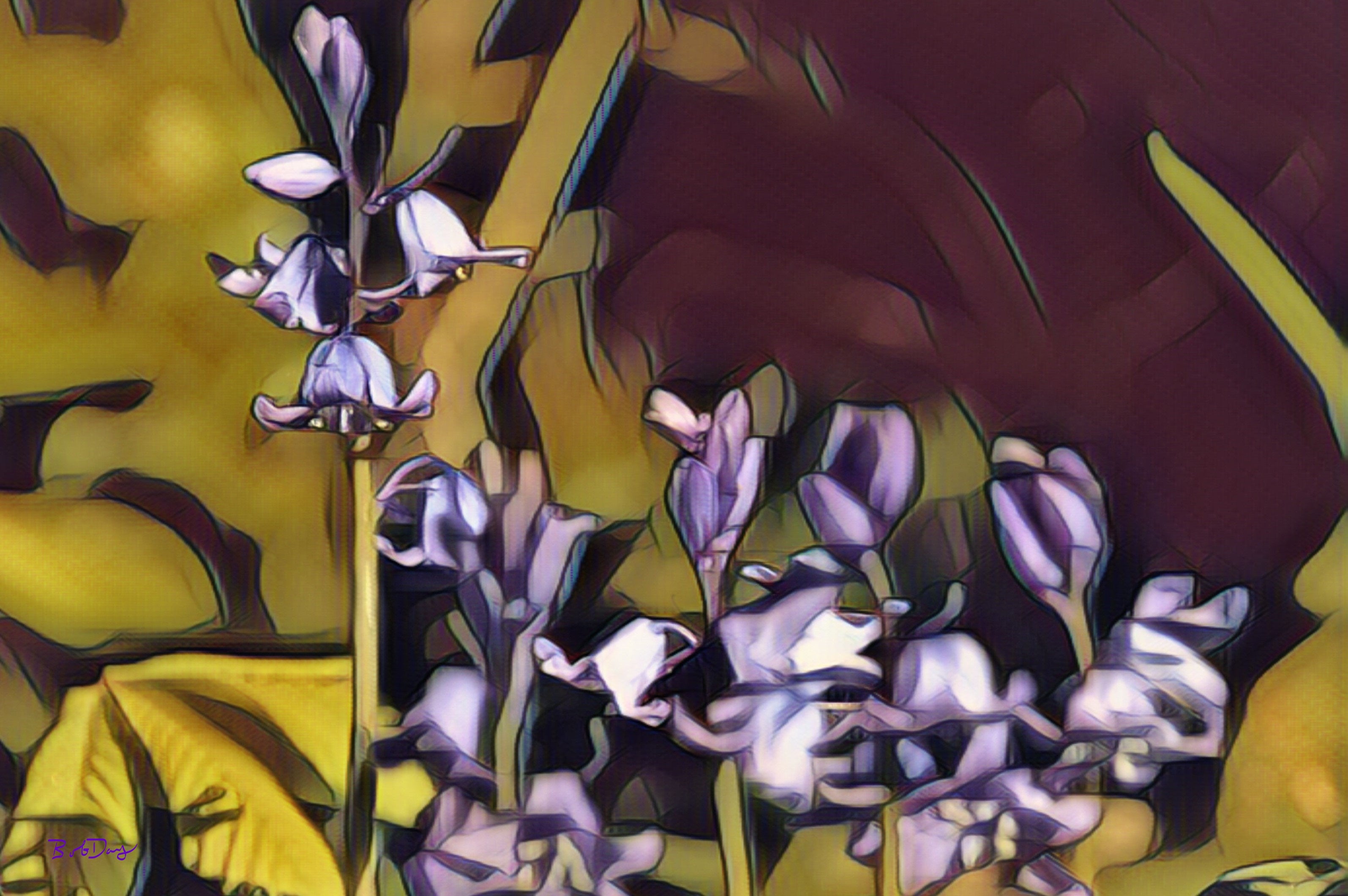 Bluebells