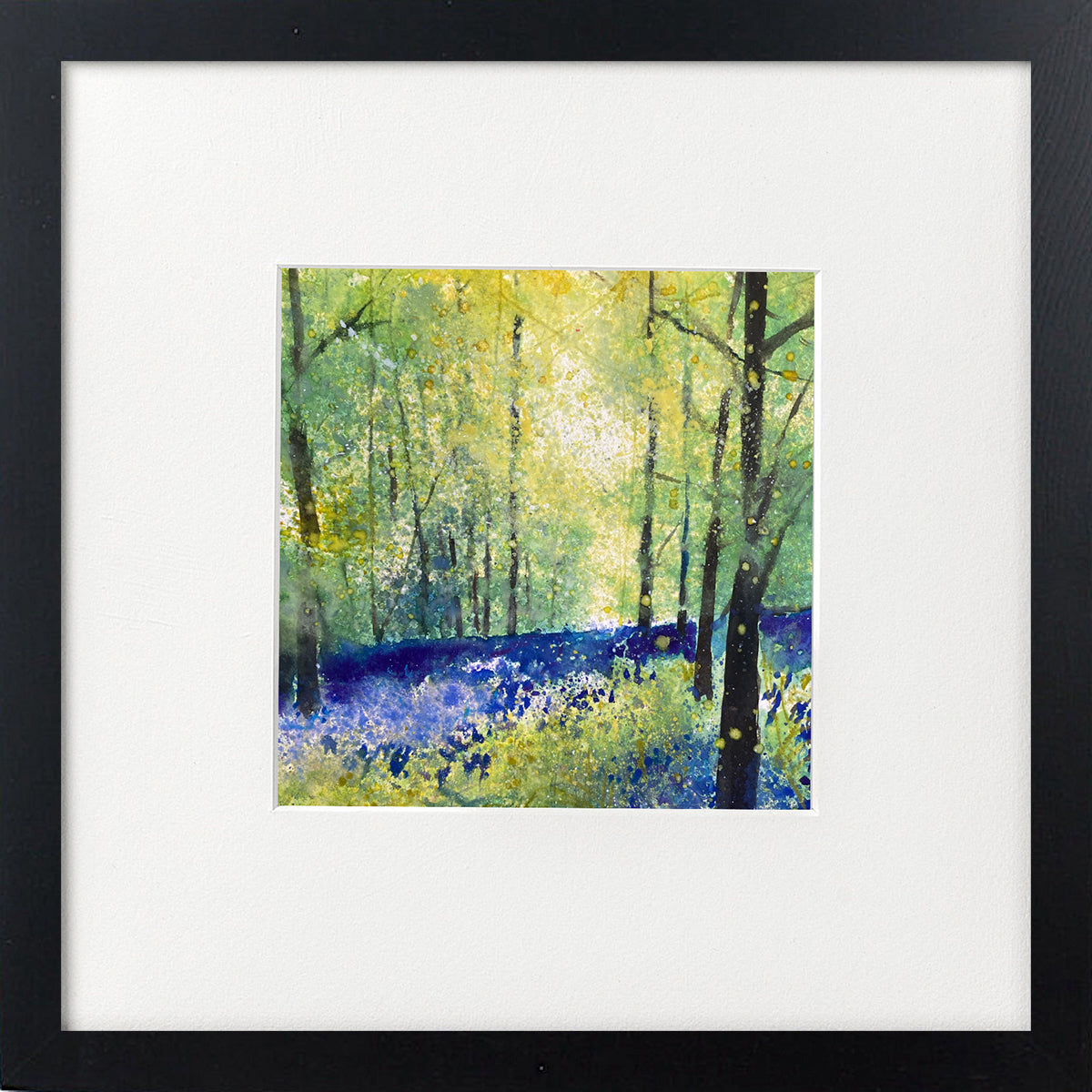 Bluebell Woodland